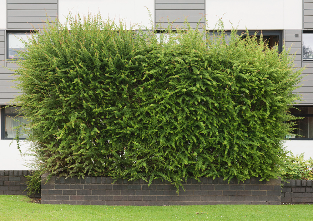 Screenshot 2019-07-07 at 10.54.56.png