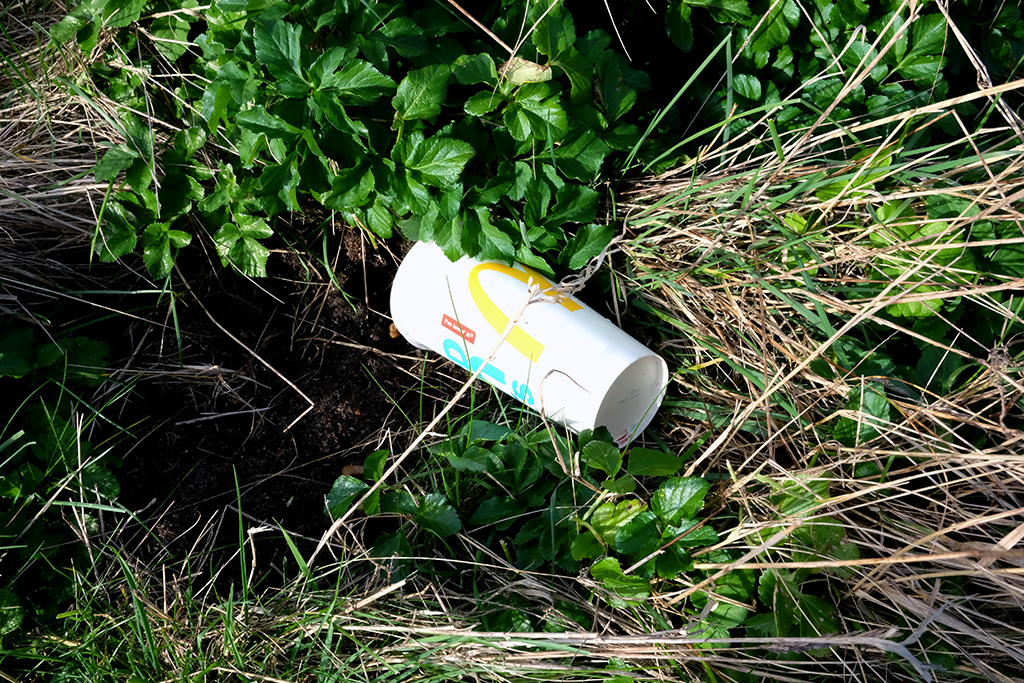 A photograph of a discarded McDonald's take-away cup in a grass verge.