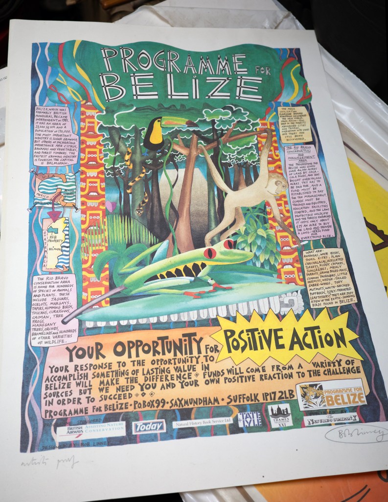 A colourful illustrated poster of a forest scene and at the top, the words: Programme for Belize.